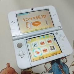 new nintendo 3ds おまけ付き