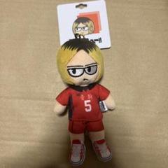 Amazon.co.jp: ハイキュープラザ ジロリ ぬいぐるみ 木兎光太郎