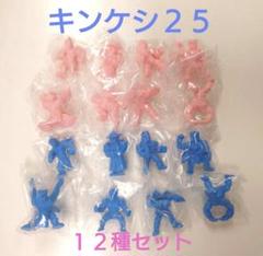 キン肉マン キンケシ25 ペールオレンジ＆青１２種コンプセット