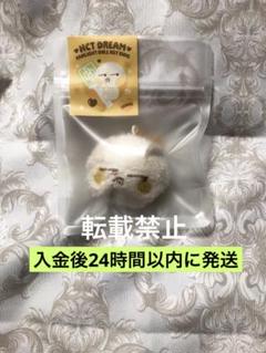 nctdream チソン　ぬいぐるみキーホルダーセット 2025年最新】チソンぬいぐるみの人気アイテム - メルカリ