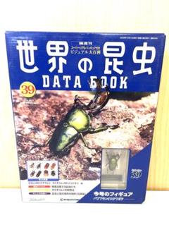 2025年最新】世界の昆虫 データブックの人気アイテム - メルカリ