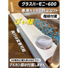 緑茶オーダーページ グラスハーモニー600カミカミ防止ロフト ハーモニーステージL | ジェックス株式会社