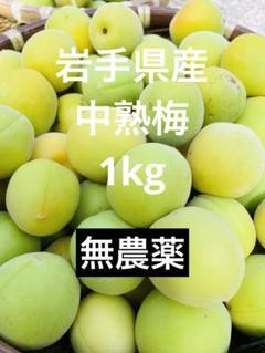 【特価】梅　無農薬栽培　約8kg【訳あり】 楽天市場】青梅 無農薬 訳ありの通販
