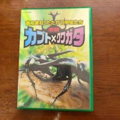(未使用･未開封品)　激闘 カブト×クワガタ ~あつまれ!たたかう甲虫たち~ [DVD] gsx453j Amazon.co.jp: 激闘 カブト×クワガタ ~あつまれ!たたかう甲虫