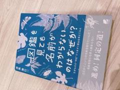 図鑑を見ても名前がわからないのはなぜか？　須黒達巳