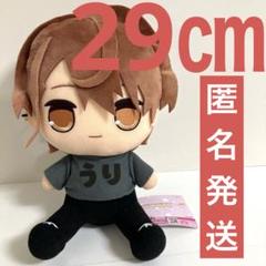 カラフルピーチ おすわりBIGぬいぐるみ⑥ うり 0725