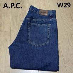 APC デニム ペインターパンツ RUE MADAME PARIS ダック 32 APC デニム ペインターパンツ RUE MADAME PARIS ダック 32