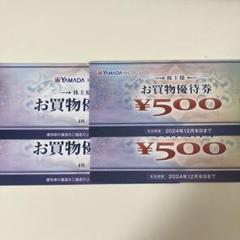 ヤマダホールディングスお買物優待券10枚のサムネイル