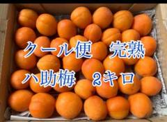 ✴︎無農薬品✴︎ 青森県産　八助　八助梅　箱込み5キロ　完熟前 大きさミックス 青森県産農薬不使用八助梅5キロ送料無料 果物