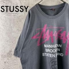 STUSSY ステューシー 古着 Tシャツ デカロゴ グレー