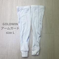 GOLDWIN ゴールドウィン アーム サンガード セット L