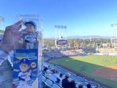 大谷翔平デコピンボブルヘッド(外箱傷あり)