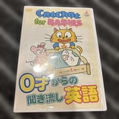 2025年最新】DVD Cat Chatの人気アイテム - メルカリ