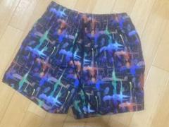 カタリスト　【美品】CVTVLIST ハーフパンツ　ナイロン生地