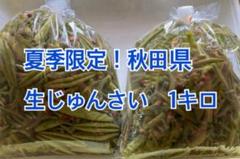 夏季限定　秋田県　生じゅんさい　2キロ 楽天市場】秋田県産 生じゅんさい 小 100g（袋入） : 生鮮食品直送便