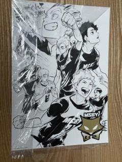 ハイキュー！！イラストカード イラストボード ムスビイ アドラーズ　未開封品 ハイキュー！！イラストカード イラストボード ムスビイ