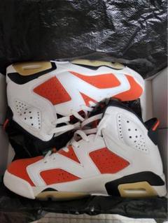 AIR JORDAN 6 ゲータレード