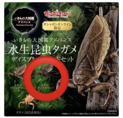 オンライン版 タガメ ライトカラー & ダークカラー 2種セット いきもの大図鑑 いきもの大図鑑アドバンス タガメ オンライン版 ライト ダーク