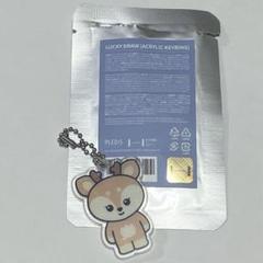 ジョシュア ミニティーン MINITEEN キーホルダー seventeen
