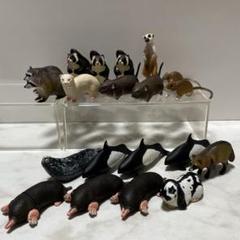 2025年最新】チョコエッグ動物の人気アイテム - メルカリ