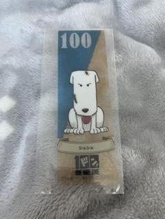 ワンピース　クリアしおり　100巻　シュシュ