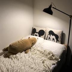 IKEA RANARP ラーナルプ フロアランプ ライト 照明 廃盤 - メルカリ