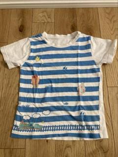 おとうさんといっしょTシャツ ＆　おかあさんといっしょ　ペンライト、バルーン