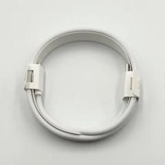 Apple 純正 ケーブル Type-C to Type-C A2795 正規品