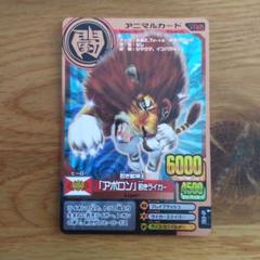アニマルカイザーカード カイザーアポロン アニマルカイザー アニマルカード ど根性獣神王 アポロン ポテコ
