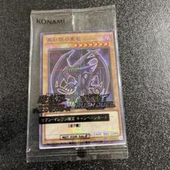 【極美品】【新品・未使用】真紅眼の黒竜 とても綺麗
