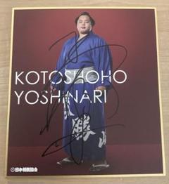 大相撲　琴勝峰　力色紙　直筆　サイン入り