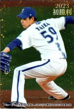 2025年最新】平良拳太郎の人気アイテム - メルカリ