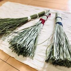 2025年最新】真菰しめ縄の人気アイテム - メルカリ