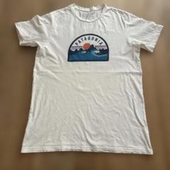 パタゴニア　Patagonia M's オーガニックコットン100% Tシャツ
