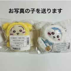 ちいかわ　サンリオ　コラボ　マスコット　うさぎ　ハチワポム　シナモロール② m49311286249_1.jpg?1750317079