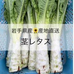 【冷蔵便】新鲜莴笋/朝採り/茎レタス/ステムレタス/長野県産/14kg入 新鲜莴笋/朝採り/茎レタス/ステムレタス/長野県産/14kg入 野菜