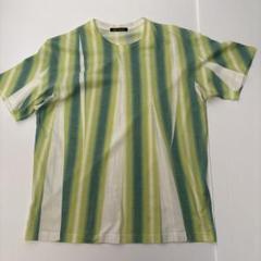 【イッセイミヤケ】Tシャツ　半袖　ストライプ