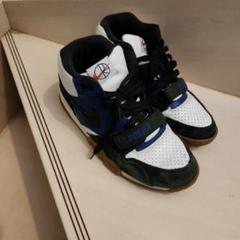 Nike x Polar Skate Co.SB Air Trainerのサムネイル