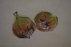 不詳/作者不詳/無花果/イチヂク図/布袋屋掛軸HI-273 不詳/作者不詳/無花果/イチヂク図/布袋屋掛軸HI-273 - メルカリ