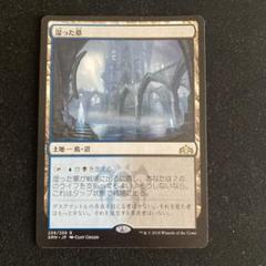 草むした墓/Overgrown Tomb》[GRN] 土地R | 日本最大級 MTG通販