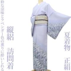 最安価格 夏着物 正絹 変則絽“和の宇宙に惑星から惑星へジャンプ！”訪問着 着物・浴衣