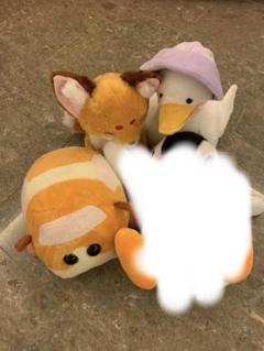 モルカー　ぼうろ　アヒル隊　ぬいぐるみ　セット