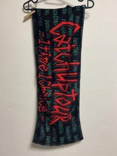 WANIMA Catch Up TOUR FINAL 新品 タオル2点セット 2025年最新】catch up tourの人気アイテム - メルカリ