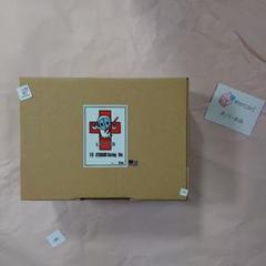 Vispo 綾波レイ Racing Ver エヴァ ガレージキット 新品未開封 わにわーくす様にご依頼していたVISPO様のエヴァンゲリオンの
