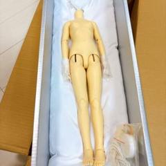 VOLKS　南条勲　SD13　ボディのみ VOLKS|南条勲 スーパードルフィー13|HARDOFFオフモール（オフモ