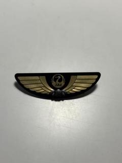航空会社ヴィンテージバッヂセット 11個 （Jrパイロットバッヂ）