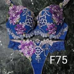 サルート69G F75 & ソングM WI