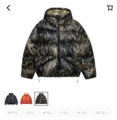 stussy ステューシーカモ柄ミリタリーダウンジャケット　バレンシアガ org.jpg