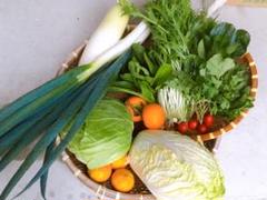 新米 と 朝採れ無農薬野菜 詰め合わせセット