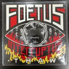 ⑮-49 FOETUS - THAW「氷解」　アナログレコード　LP